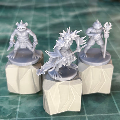 Miniature Subscription