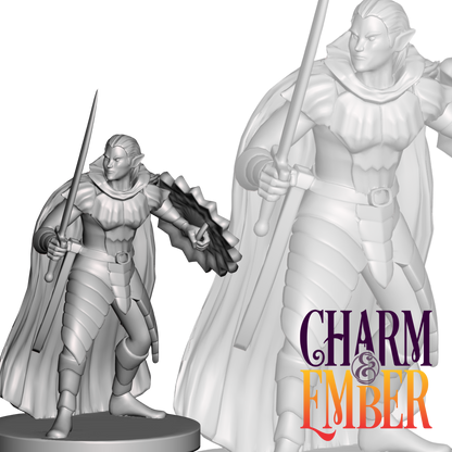 Drow elf guard standing poised with sword raised and shield ready for battle
